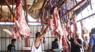 تحديث جديد أسعار اللحوم في كفر الشيخ السبت 21 فبراير 2026